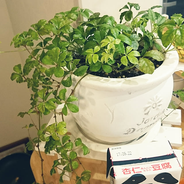 sunflowerさんの実例写真