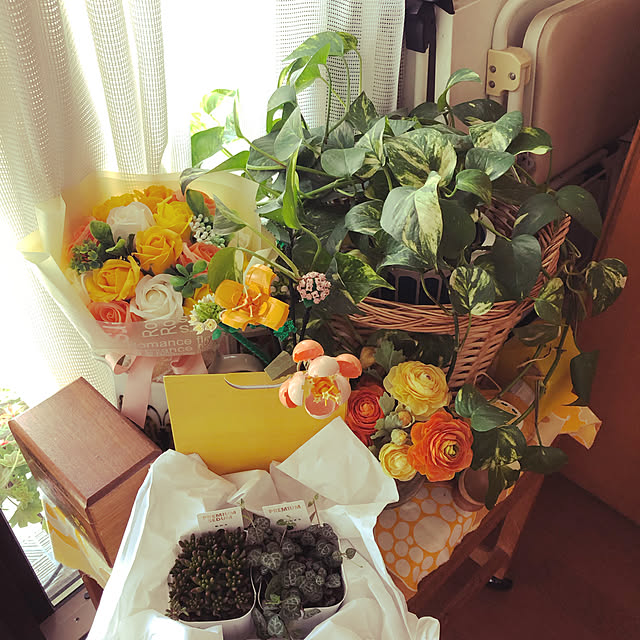 uchidaizuさんの実例写真