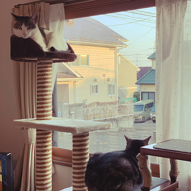 実例写真