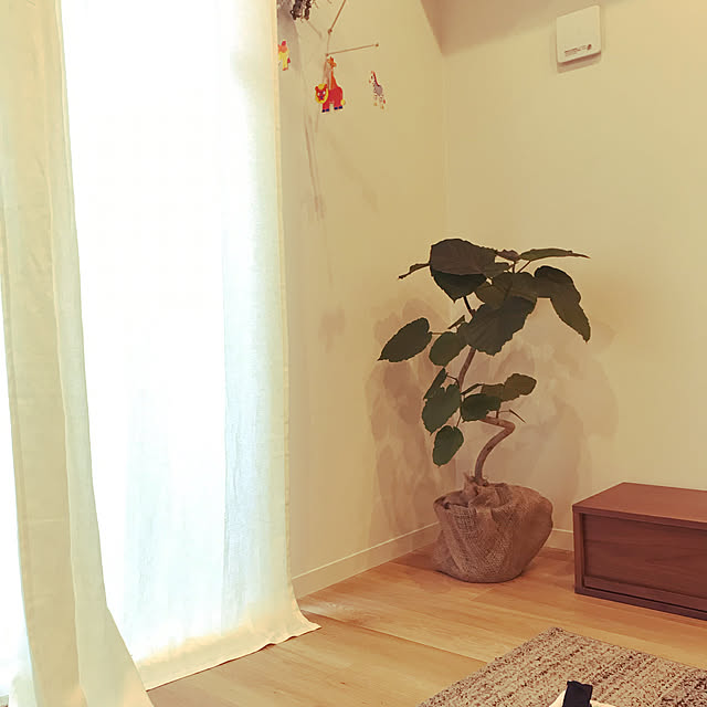 and.__.shuさんの実例写真