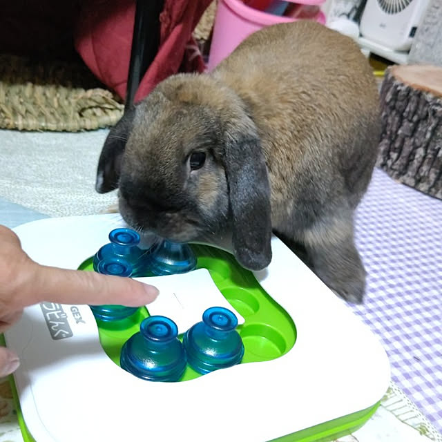 mariaさんの実例写真