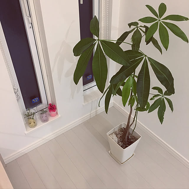 grasshopperさんの実例写真