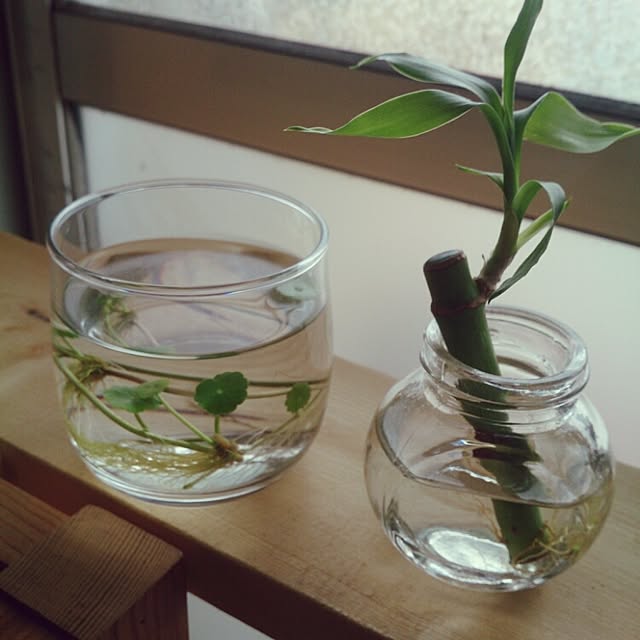 miporin0711さんの実例写真