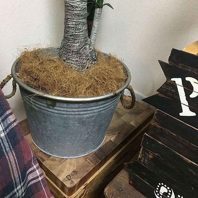 tetra163さんの実例写真