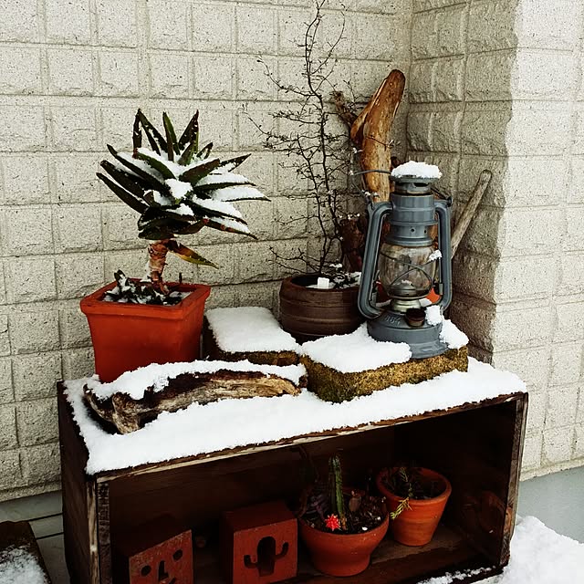 kuuuuさんの実例写真
