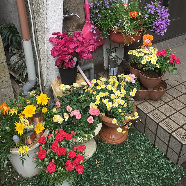 Harumiさんの実例写真