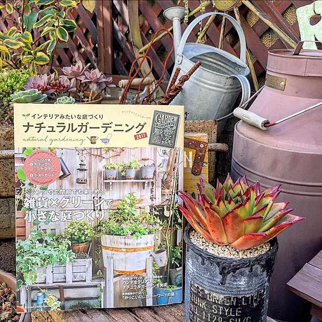 riemarukoさんの実例写真