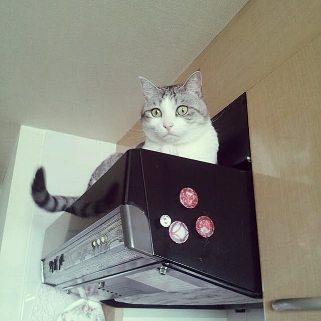 emmyyさんの実例写真
