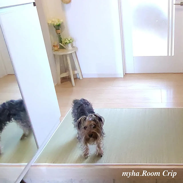 mayha.coo..さんの実例写真