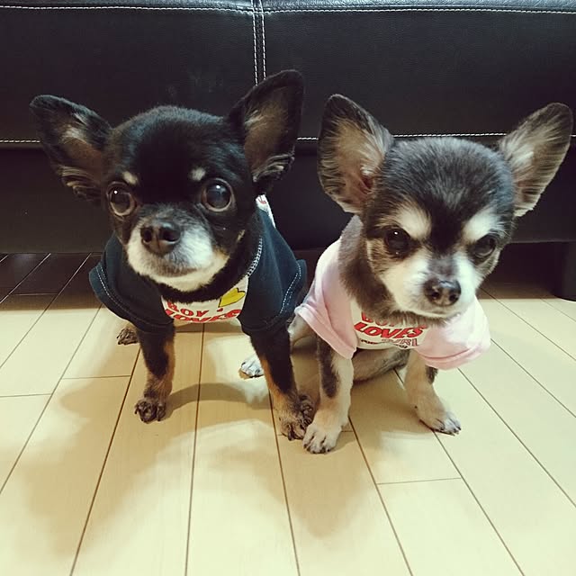 lovepeaceさんの実例写真