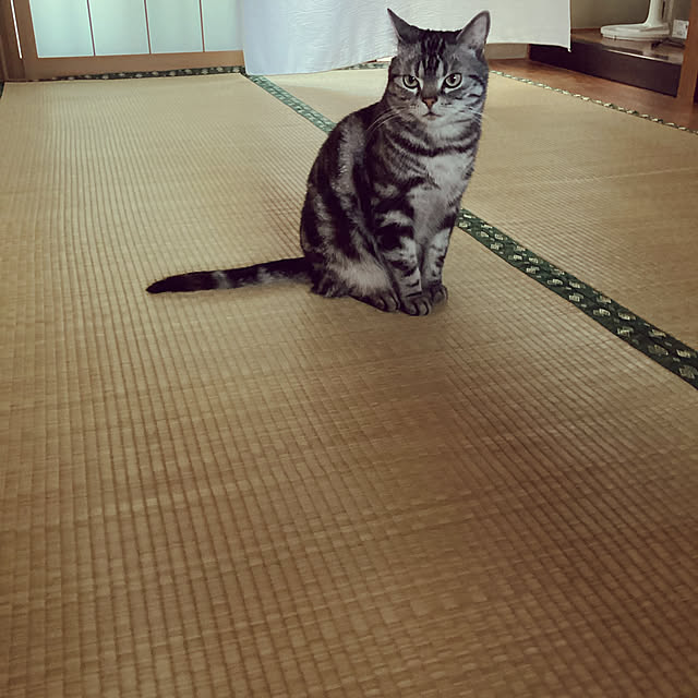 richanさんの実例写真