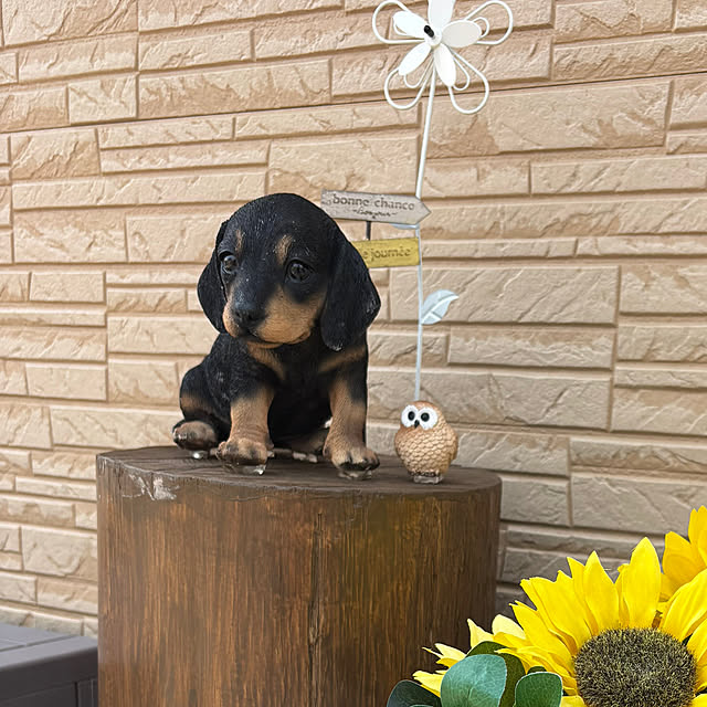 nonnonさんの実例写真