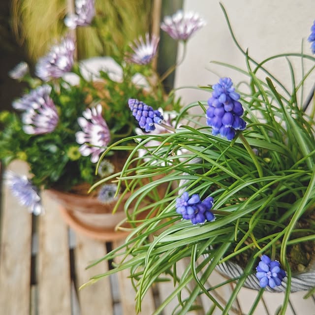 YuriYuriさんの部屋