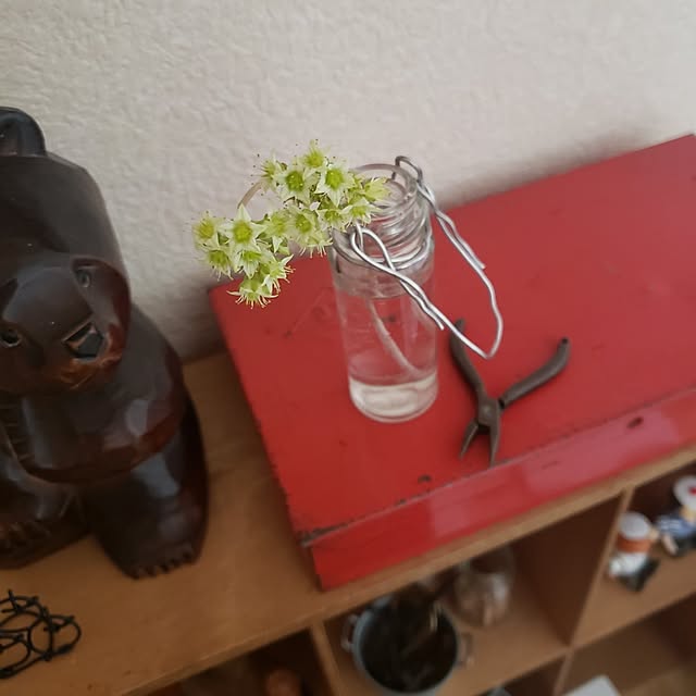wanidaさんの実例写真