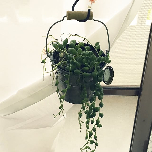 yoropikoさんの実例写真