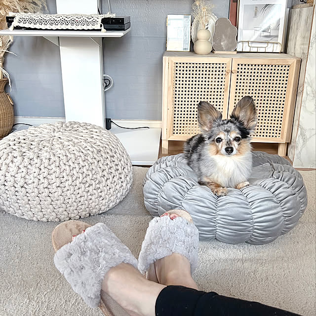 yuriさんの実例写真