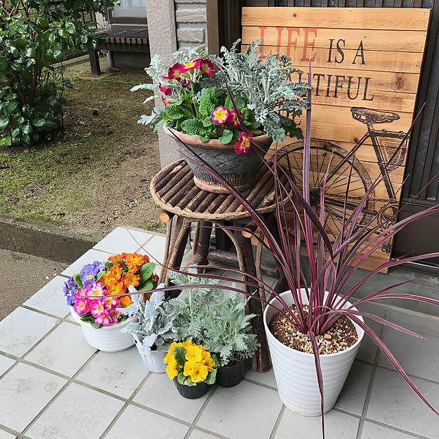 10ri5100さんの実例写真