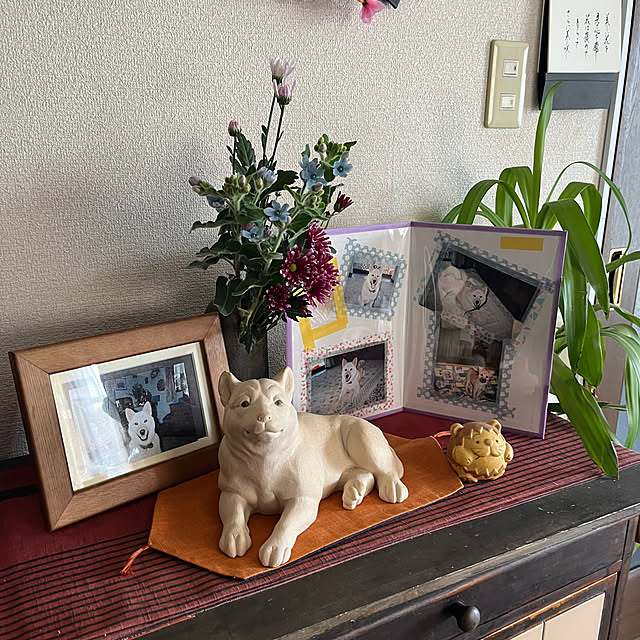 ritsukoさんの部屋