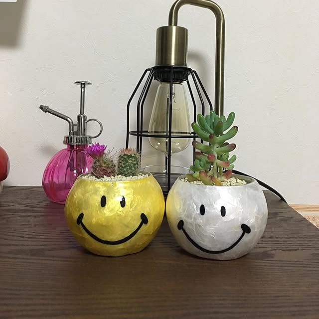 cloverさんの実例写真