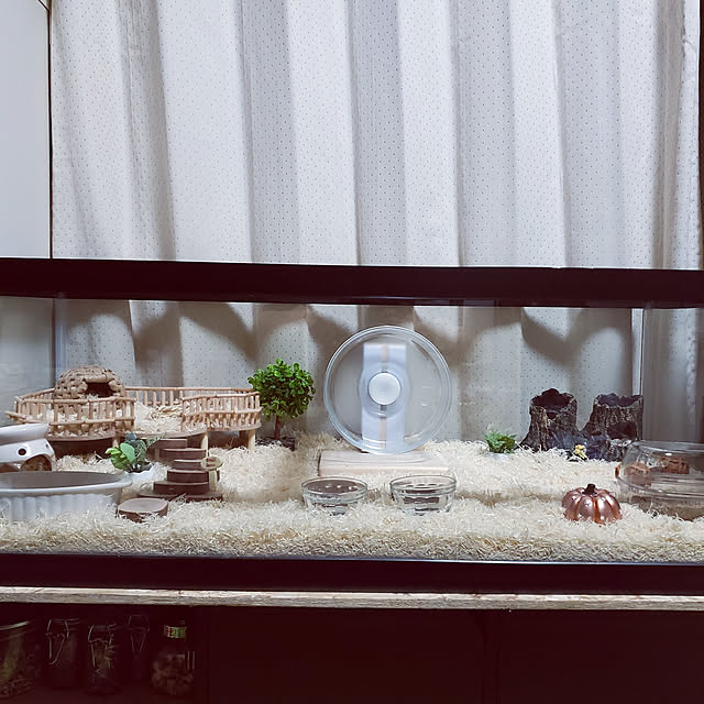 vmpr_99さんの実例写真