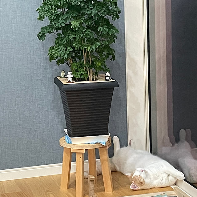 yumiさんの実例写真