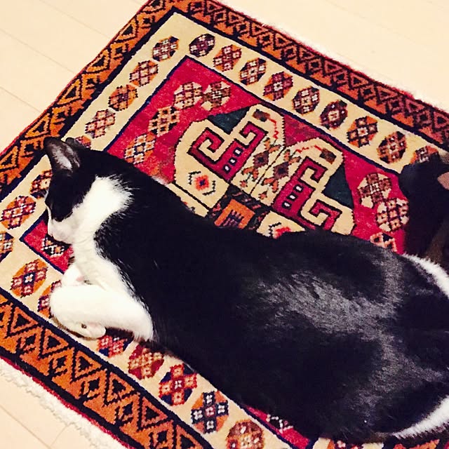 ziziguguさんの実例写真
