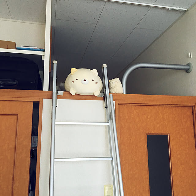 gakiさんの実例写真