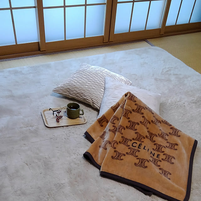 Renさんの実例写真