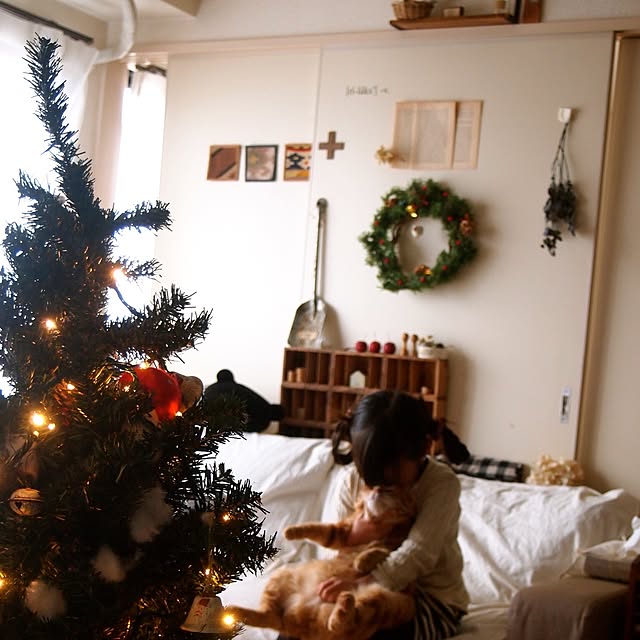 部屋全体/ねこ/キリム/ねこ部/クリスマス...などのインテリア実例 - 2014-12-22 20:09:06