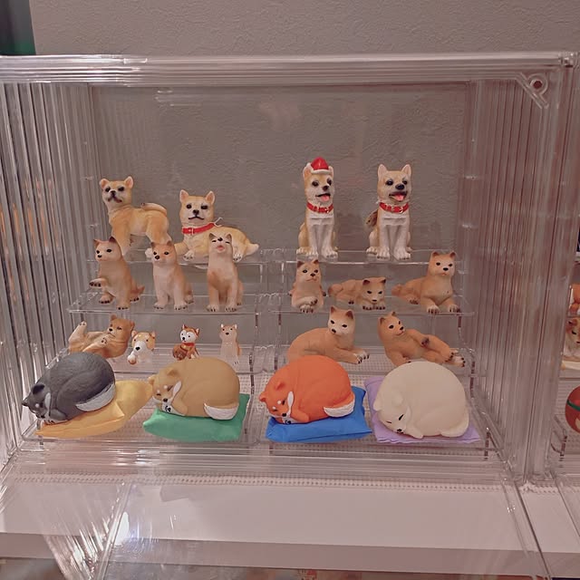 sakuraさんの部屋