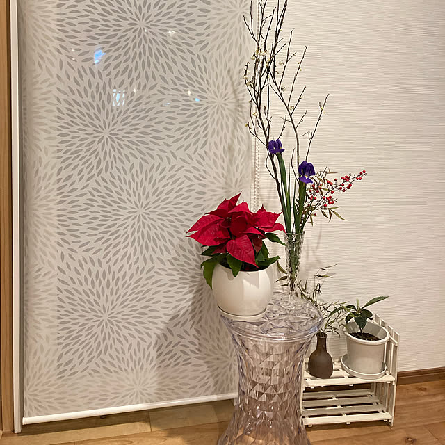 shinさんの実例写真