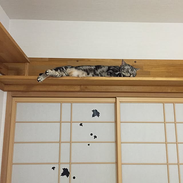 Ryokoさんの実例写真