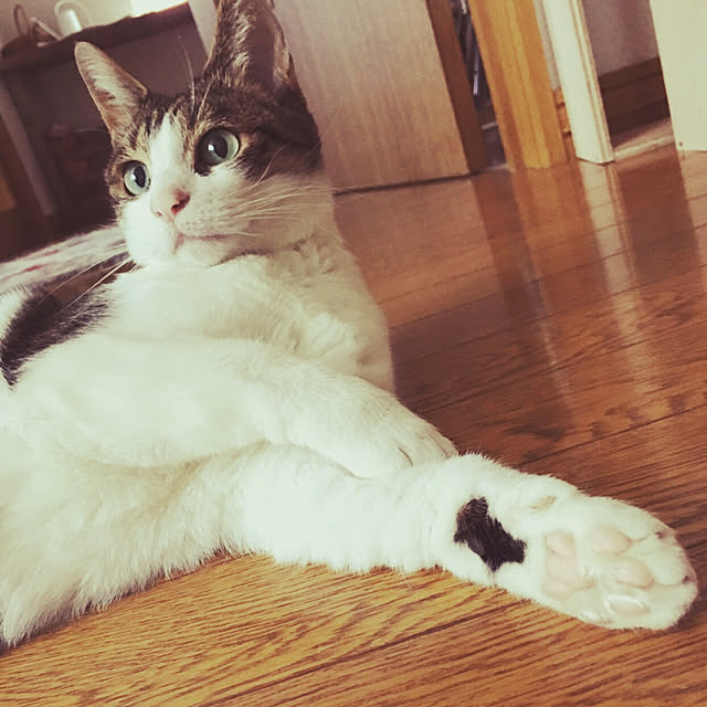 rinさんの実例写真