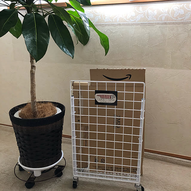 reonさんの実例写真