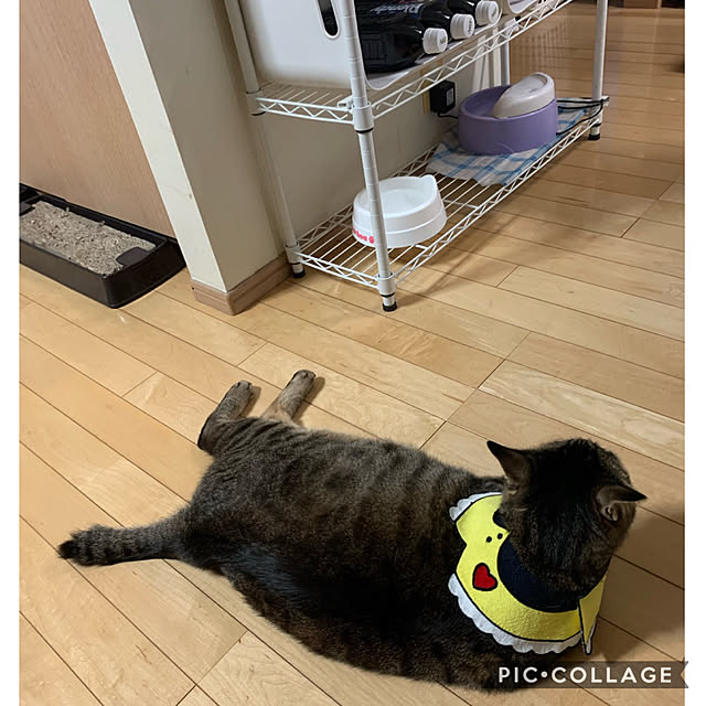 yukarin-gardenさんの実例写真