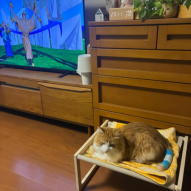 uchidaizuさんの実例写真