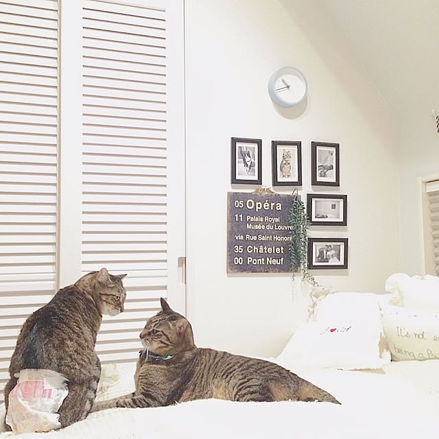 lovecatさんの実例写真