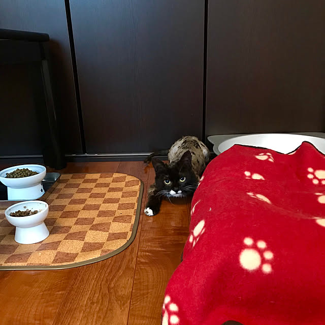 butachanさんの実例写真