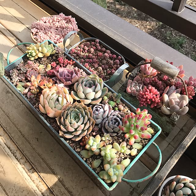 miniさんの実例写真