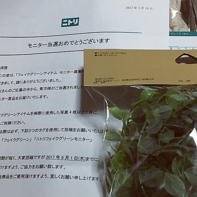 maimaiさんの実例写真