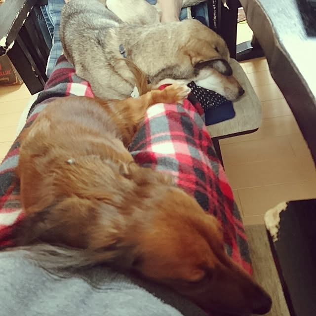 andさんの実例写真