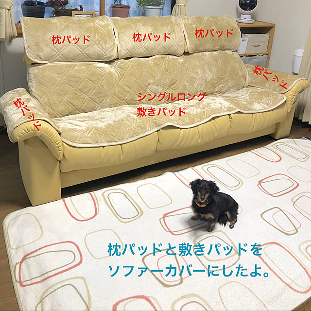 machiさんの実例写真