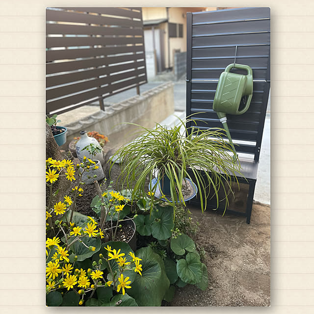 buchiさんの実例写真