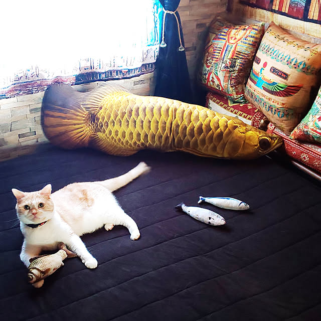 kobakissaさんの実例写真