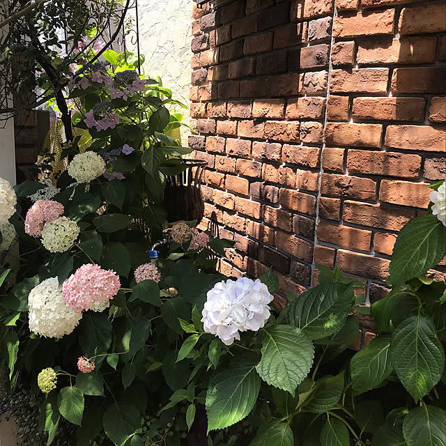 Ri-pochaさんの実例写真