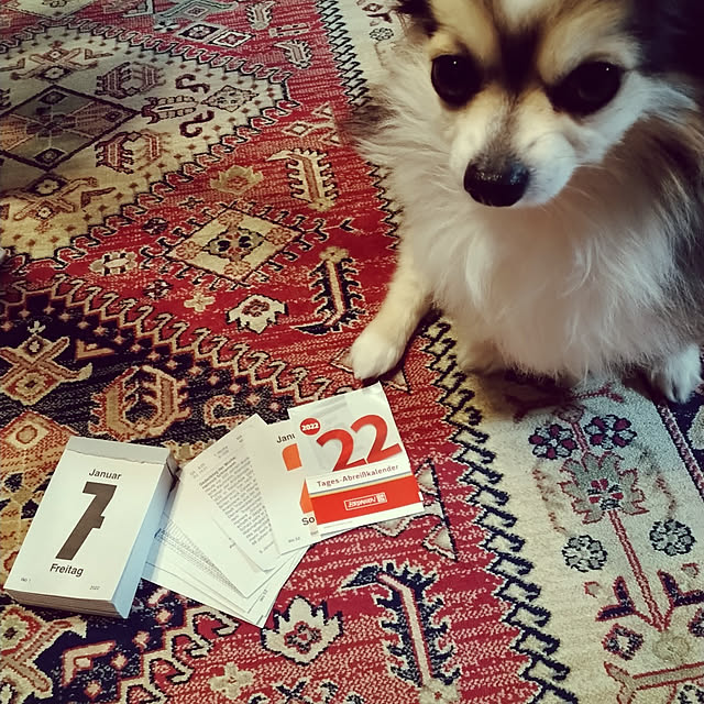 mizuさんの実例写真
