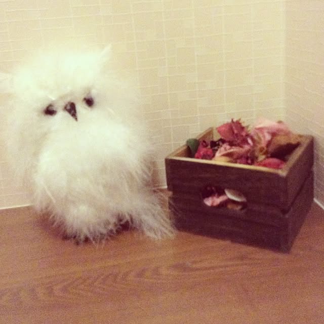 shiroさんの実例写真