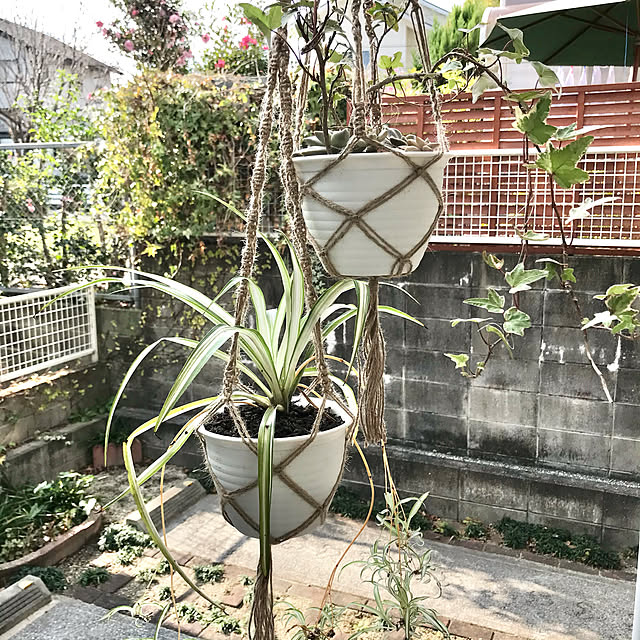 tararaさんの実例写真
