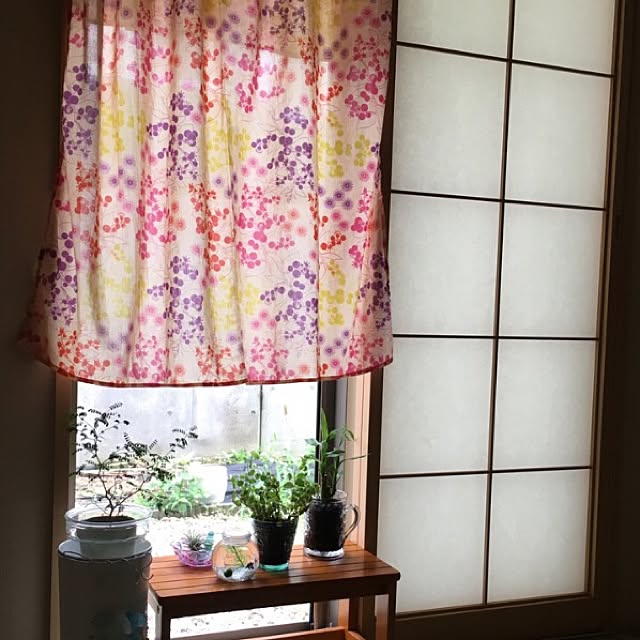 suikaさんの実例写真