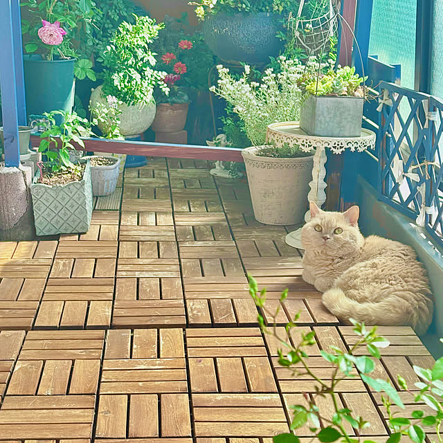naokoさんの部屋